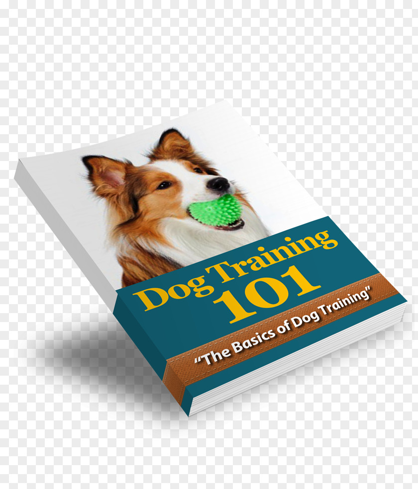 Dog Training Puppy Collar Obedience PNG