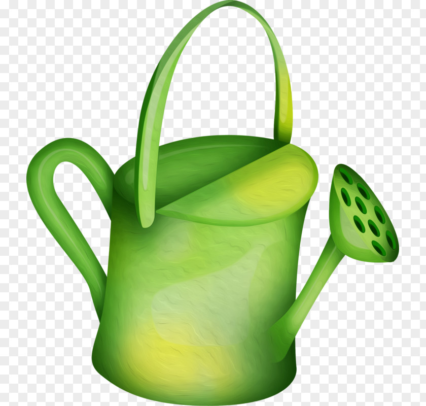 East Clipart Tulip Flower PNG