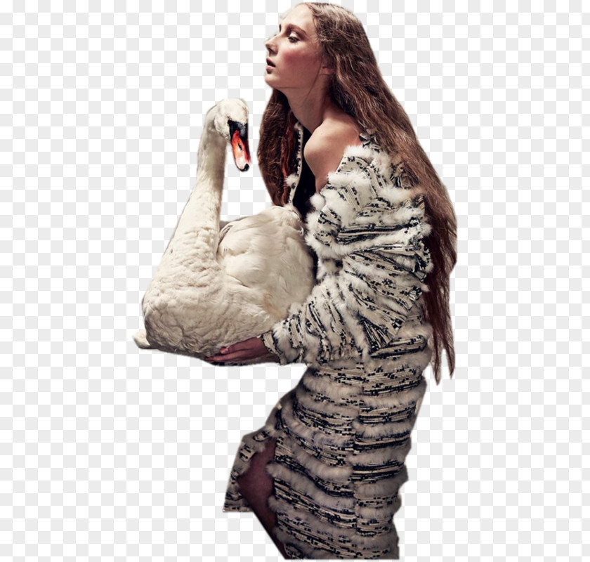 Fur Clothing Painting Neck PNG