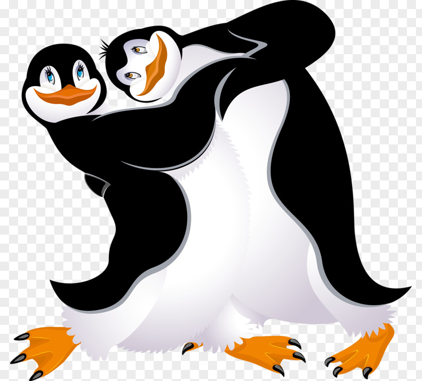 Two Penguins Penguin Bird Dance PNG