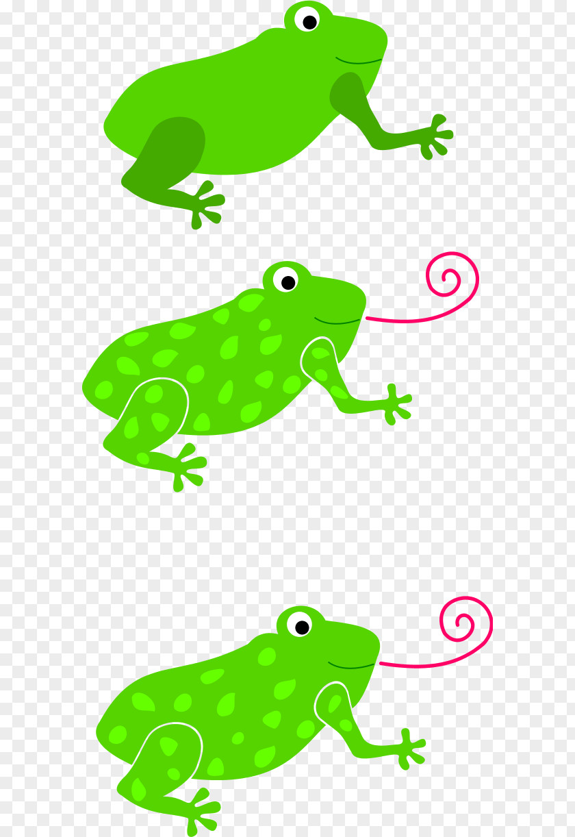 Vector Frog Amphibians Clip Art PNG