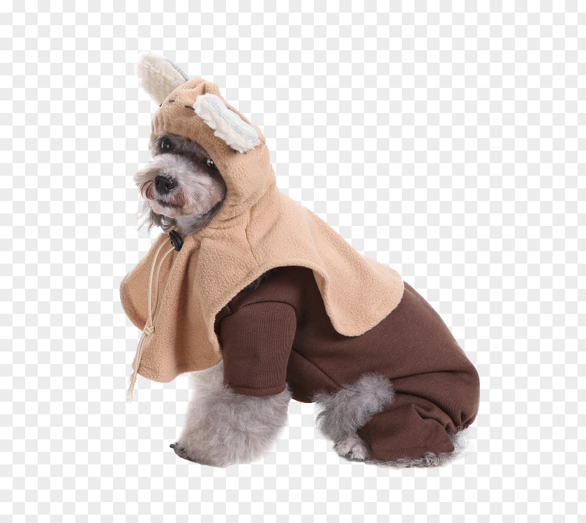 Dog Yoda Cat Puppy Anakin Skywalker PNG