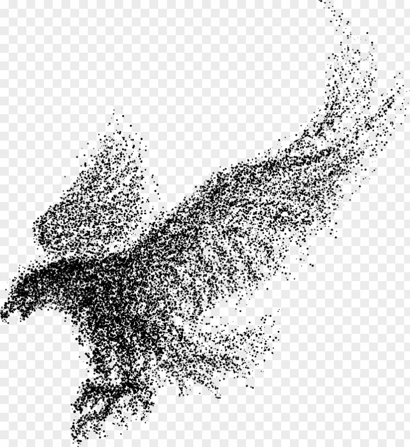 Eagle Wings Vector Particles Bald Bird PNG
