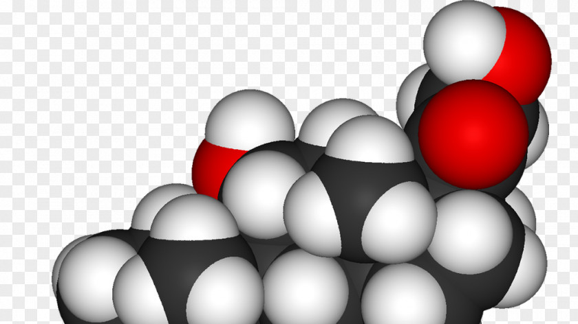 Health Cortisol Hormone Adrenal Gland Disease Cortex PNG