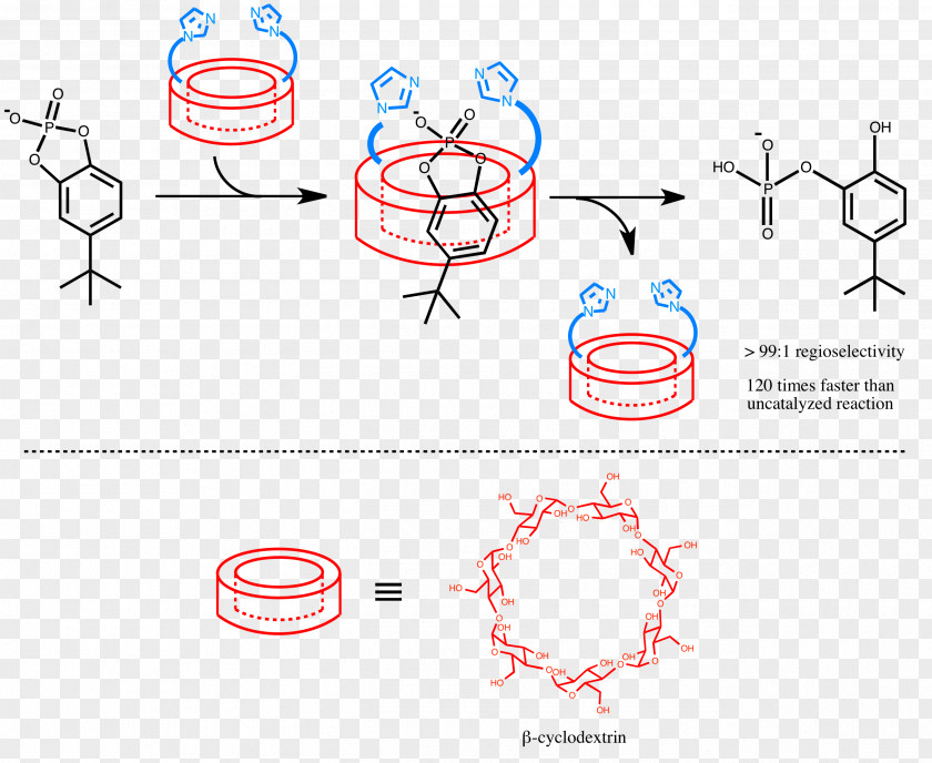 Supramolecular Catalysis Chemistry Cyclodextrin Coordination Complex PNG