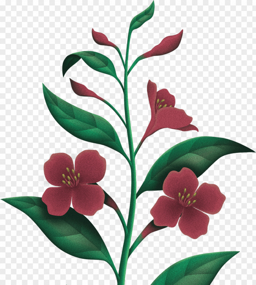 Camellia Sinensis Leaf Floral Design Cut Flowers Moisturizer Gift Cleanser PNG
