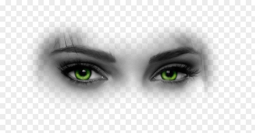 Eye Iris Eyebrow Face Red-eye Effect PNG