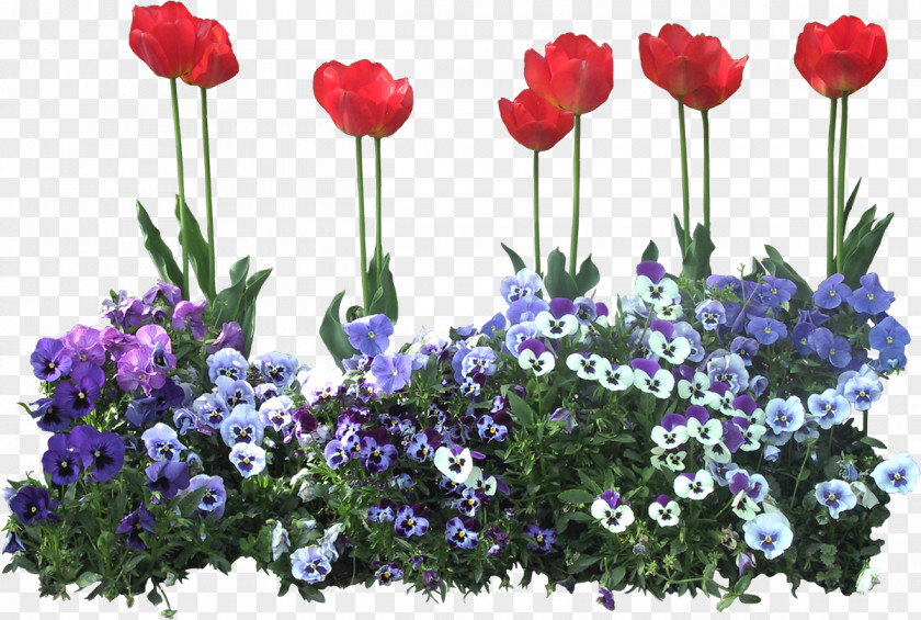 Flower Bed PNG