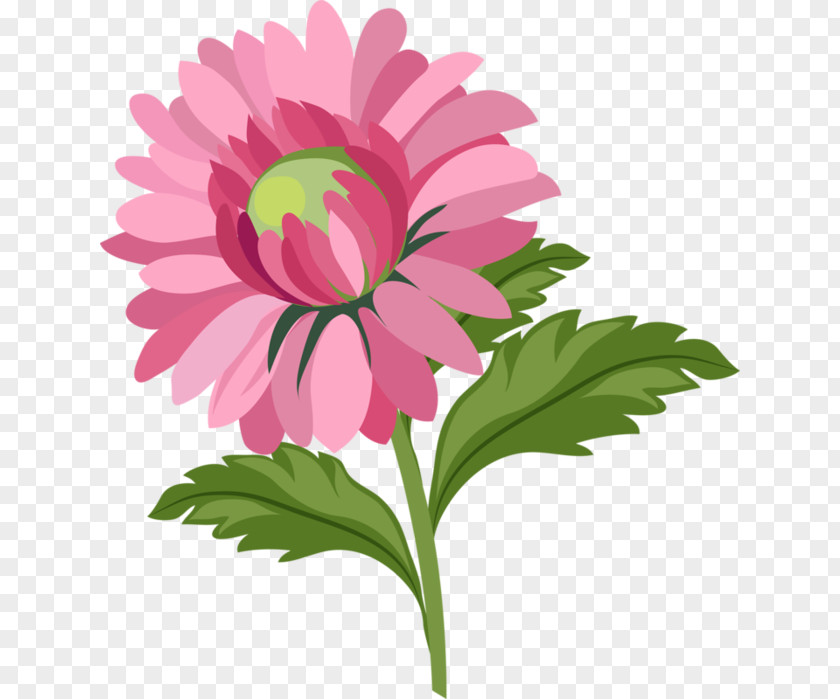 Flower Drawing Royalty-free PNG