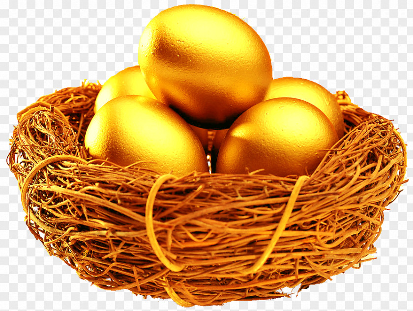 Nest Of Golden Eggs Information Organization Investment Google Chrome Motivational Leadership PNG