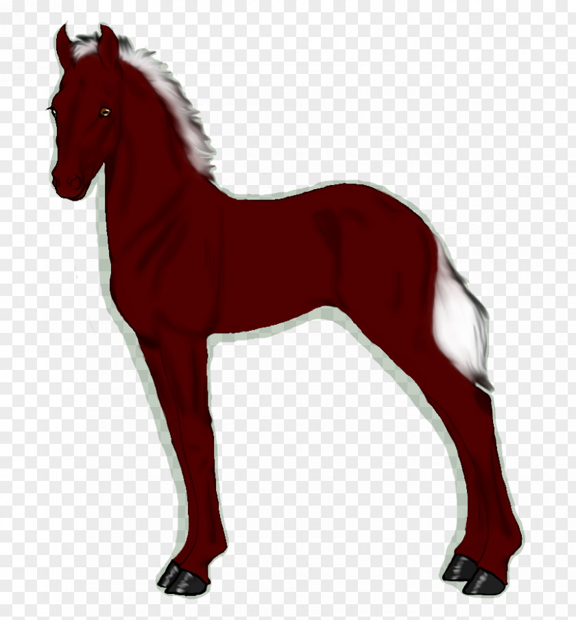 Satanic Foal Mustang Stallion Colt Pony PNG