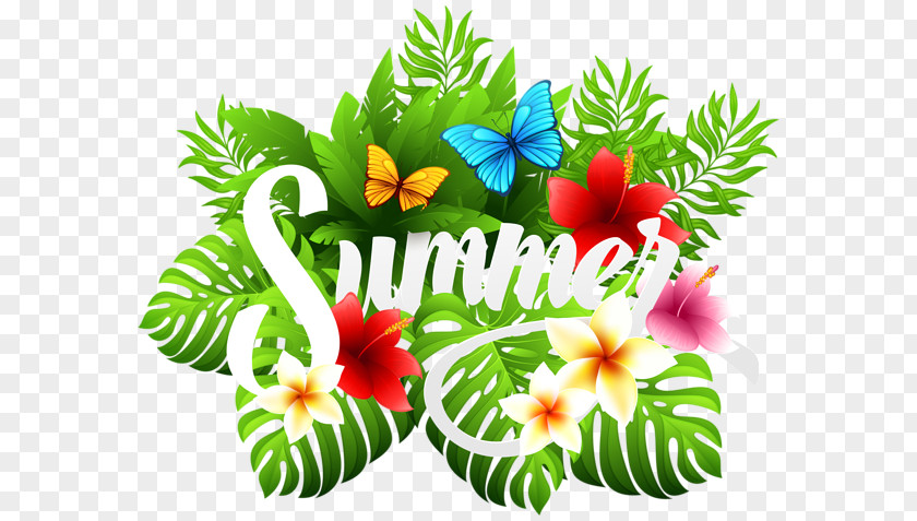 Summer Holiday Clip Art For PNG