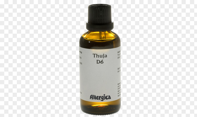 Thuja Homeopathy Pharmaceutical Drug Milliliter Belladonna WALA Heilmittel GmbH PNG
