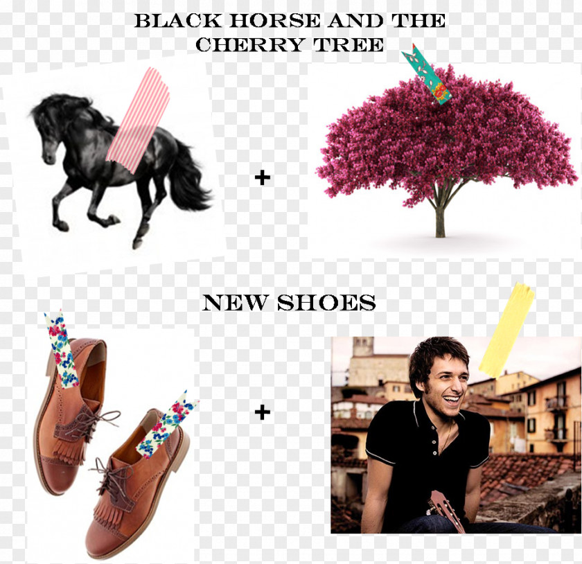 Aly Aj Cheval Noir Sticker Shoe Font PNG