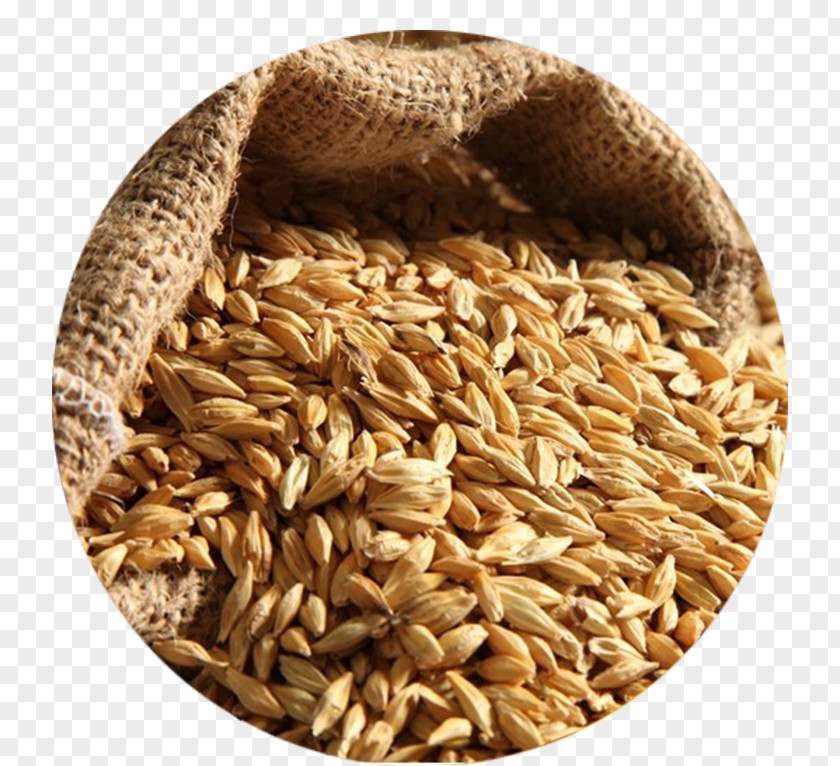 Barley Water Scotch Whisky Food Bread PNG