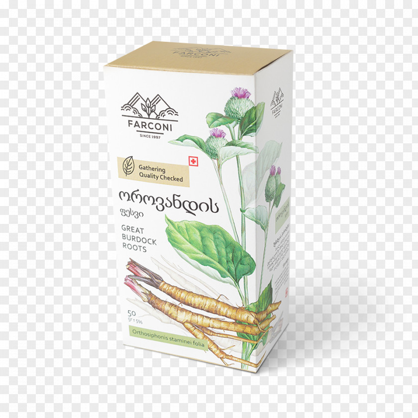 BURDOCK Georgia Herb .ge Tea Limited Liability Company PNG
