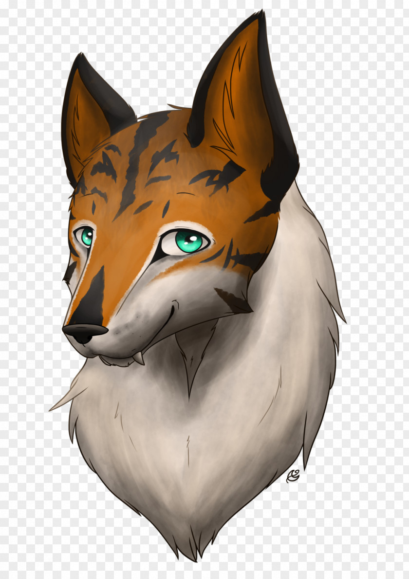 Cat Whiskers Red Fox Snout PNG