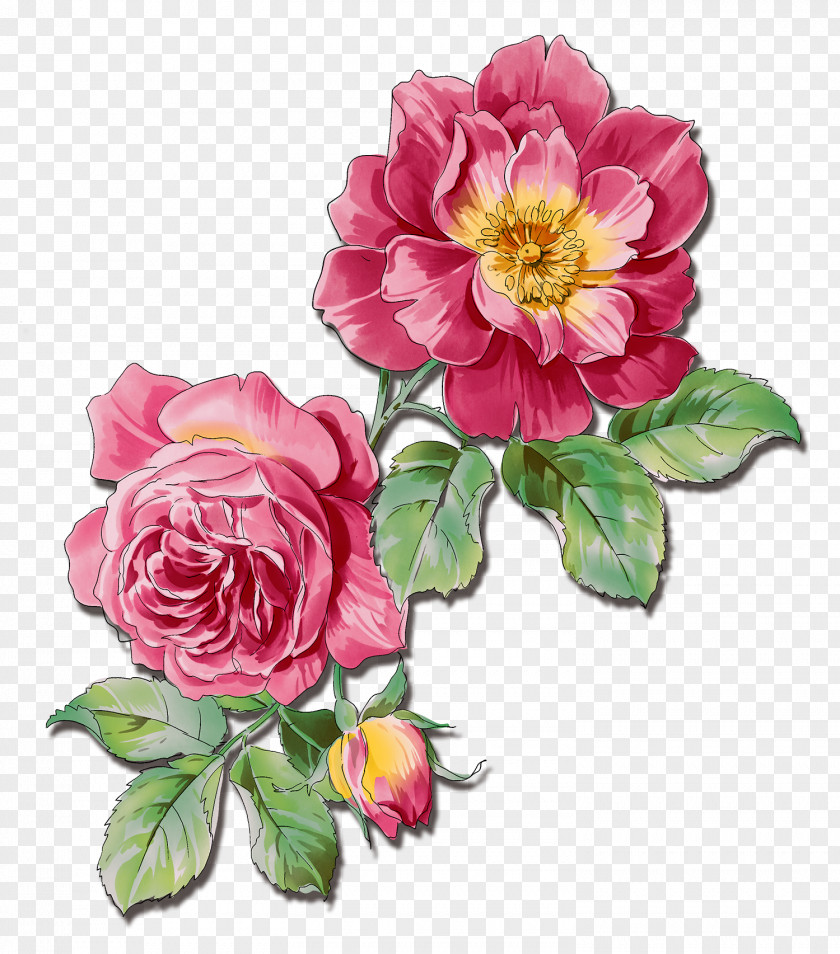 Flowers Flower Rose Watercolor Painting PNG