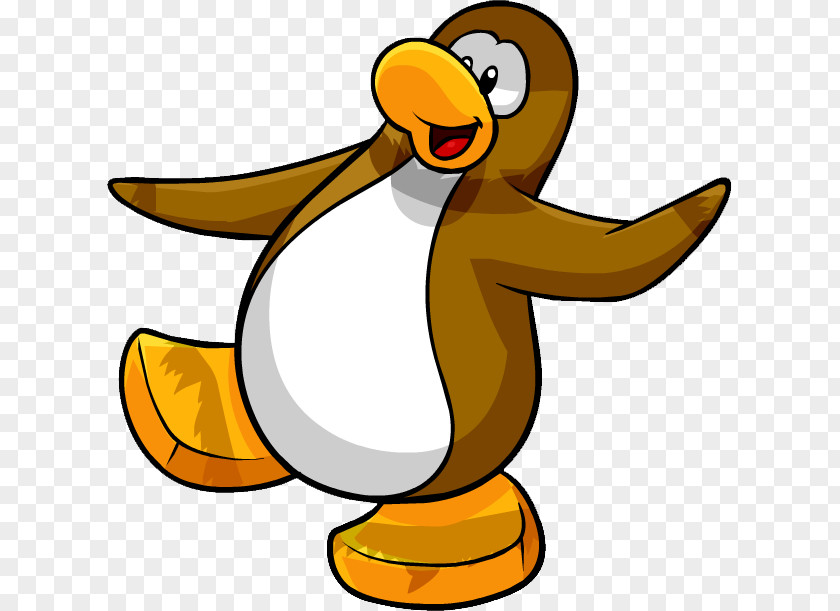 Penguin Club Island Bird PNG