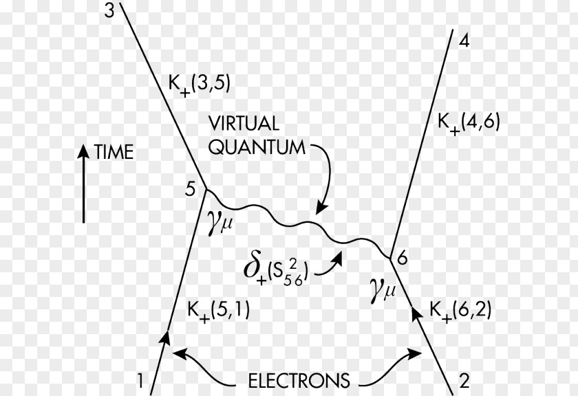 Space QED: The Strange Theory Of Light And Matter Feynman Diagram Quantum Electrodynamics Physics PNG