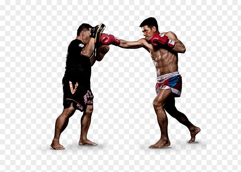 Boxing Muay Thai Mixed Martial Arts Evolve MMA PNG