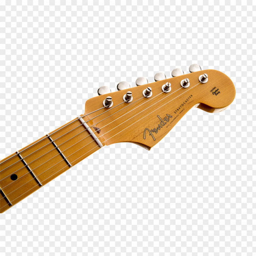 Electric Guitar Acoustic Fender Eric Clapton Stratocaster Musical Instruments Corporation PNG