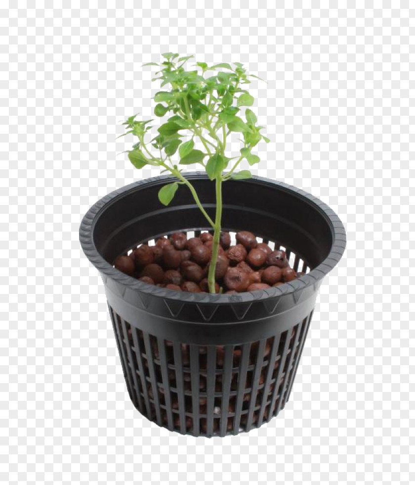 Hydroponic Hydroponics Flowerpot Nursery Transplanting Deep Water Culture PNG