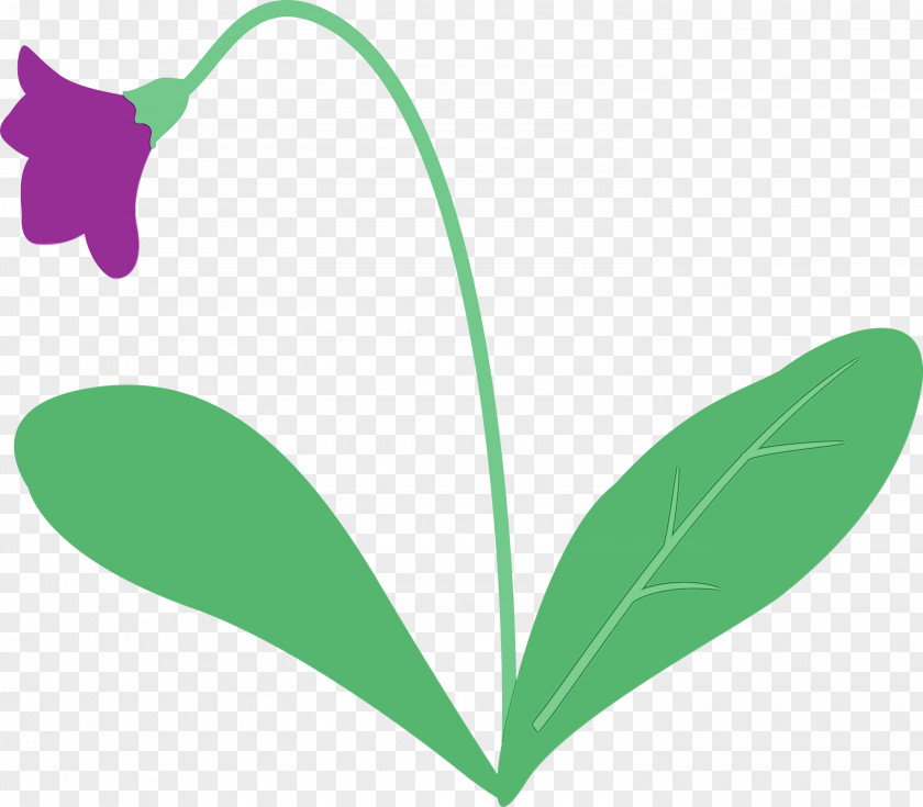 Leaf Plant Stem Flower Petal Green PNG