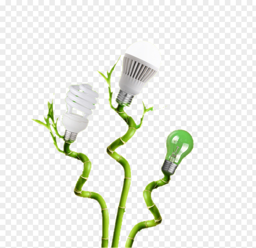 Light Bulb With Bamboo Material Incandescent Lamp Electric PNG