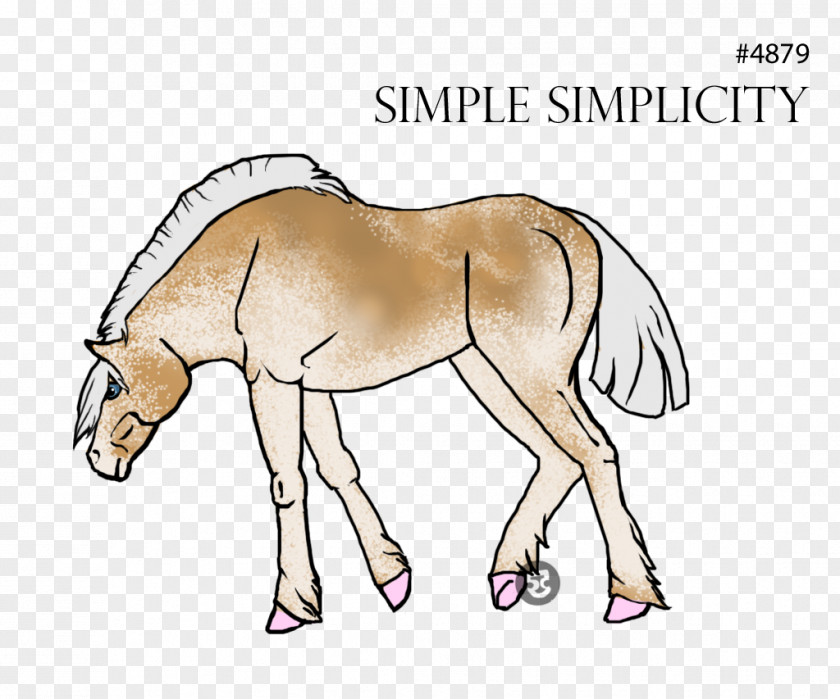 Primitive Simplicity Mule Foal Pony Mustang Colt PNG