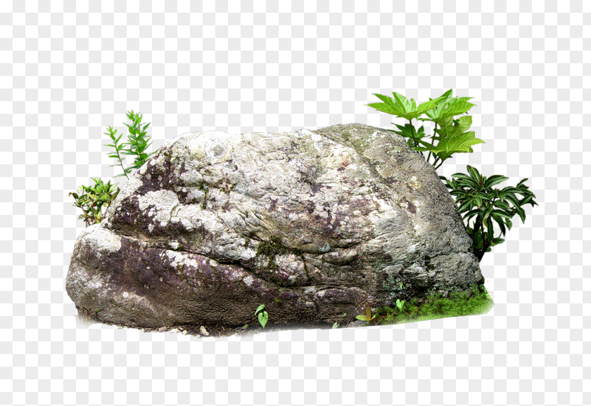 Rock Stone PNG