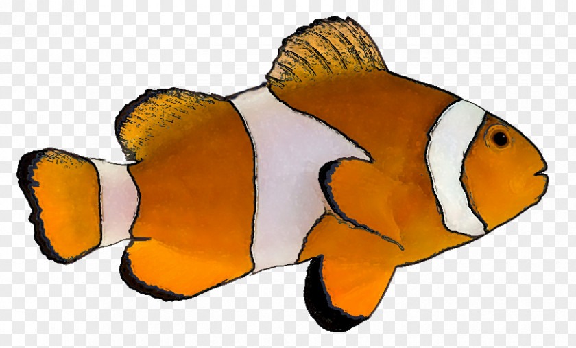 Tropical Fish Cliparts Goldfish Clip Art PNG