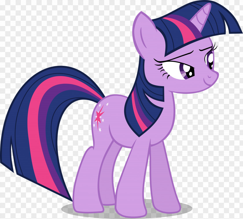 Twilight Sparkle Rainbow Dash Pony Pinkie Pie Applejack PNG