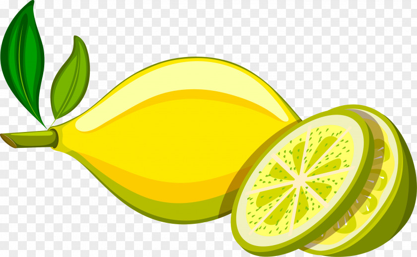 Yellow Fresh Lemon Persian Lime PNG