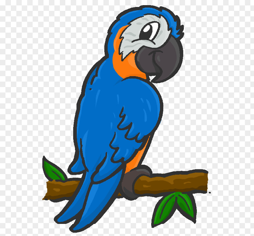 BLUE Macaw Parrot Clip Art Illustration Beak PNG