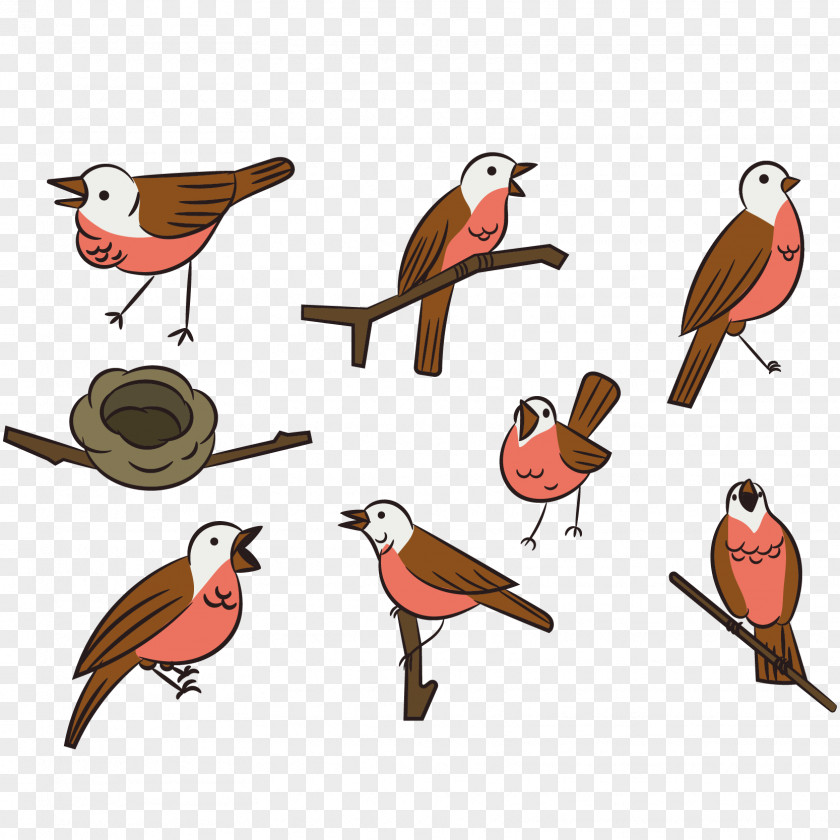 Eight Kinds Of Birds Vector Posture Bird Swallow PNG