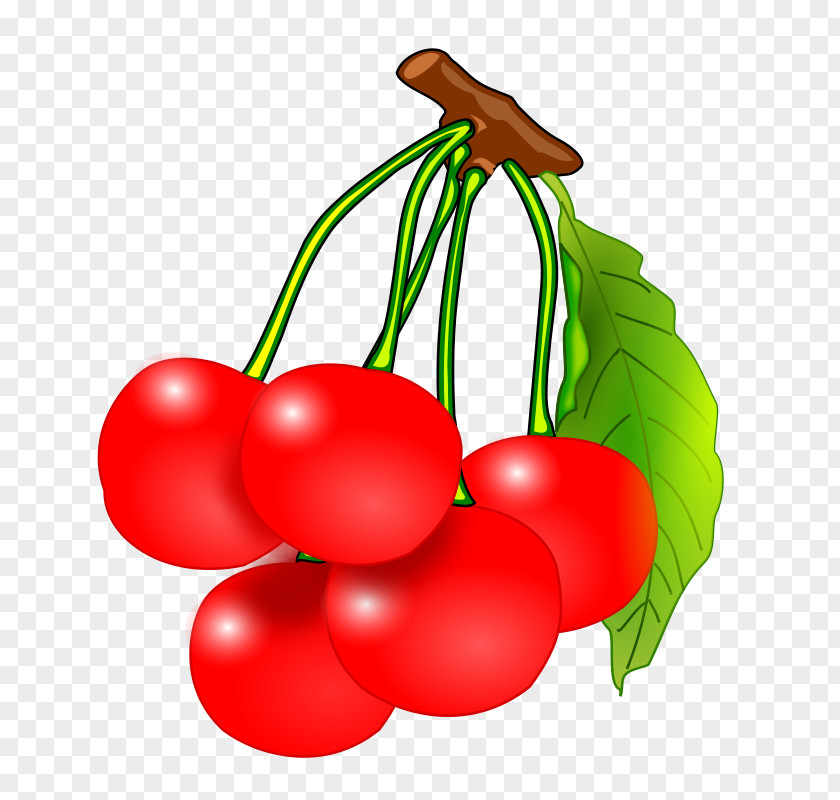 Else Cherry Clip Art Fruit Openclipart Cherries Free Content PNG