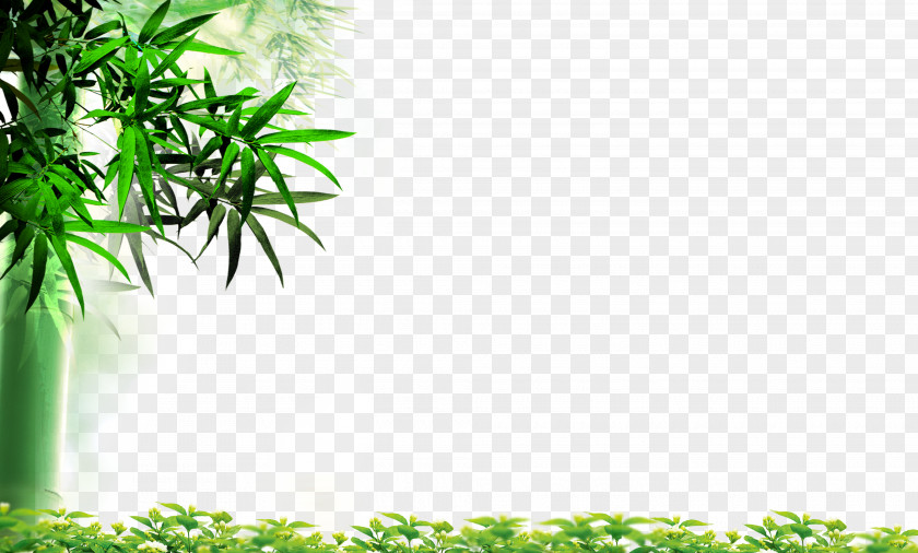 HD Bamboo Leaves 1 Leaf High-definition Television Wallpaper PNG
