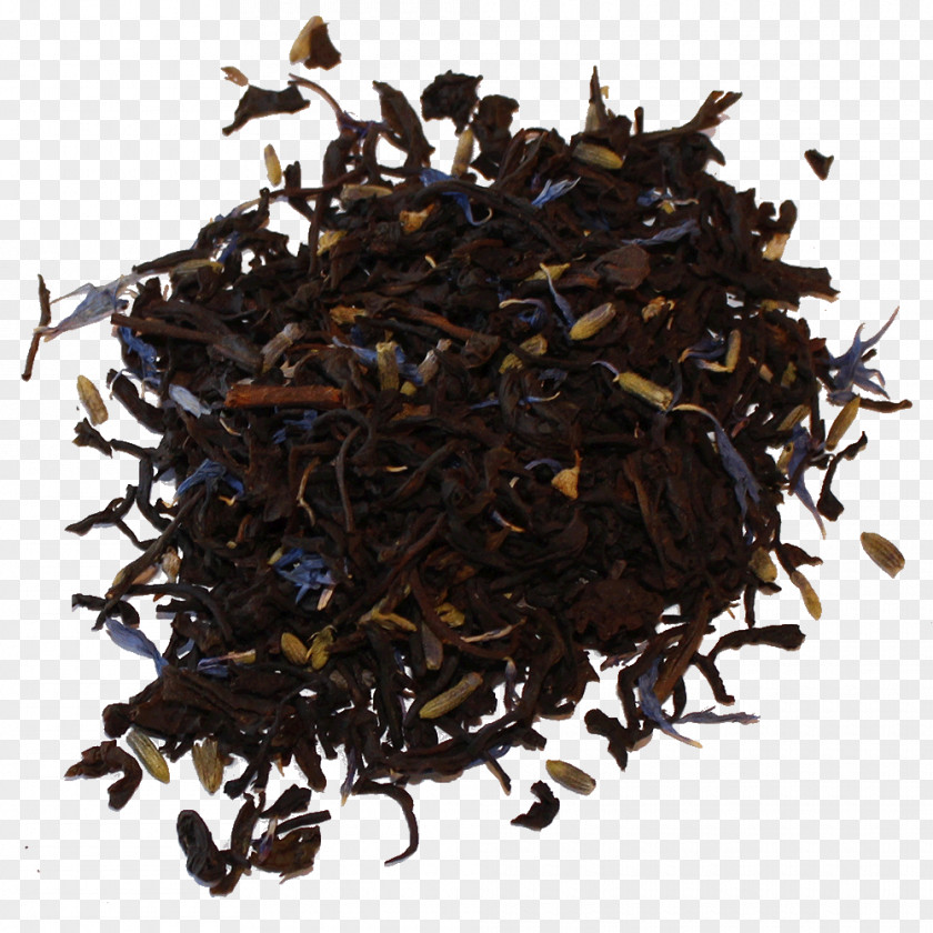 Tea Earl Grey Darjeeling Dianhong Nilgiri PNG