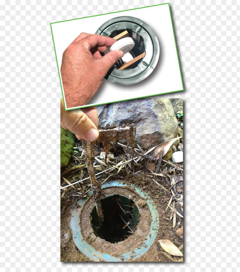 Termite Bait Soil Pest Control System PNG