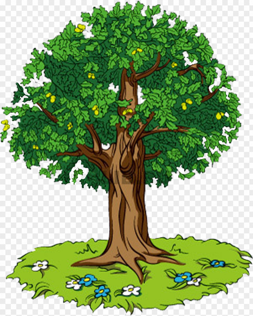 Bonsai Tree Circle Oak Lesson Self-reflection Knowledge PNG