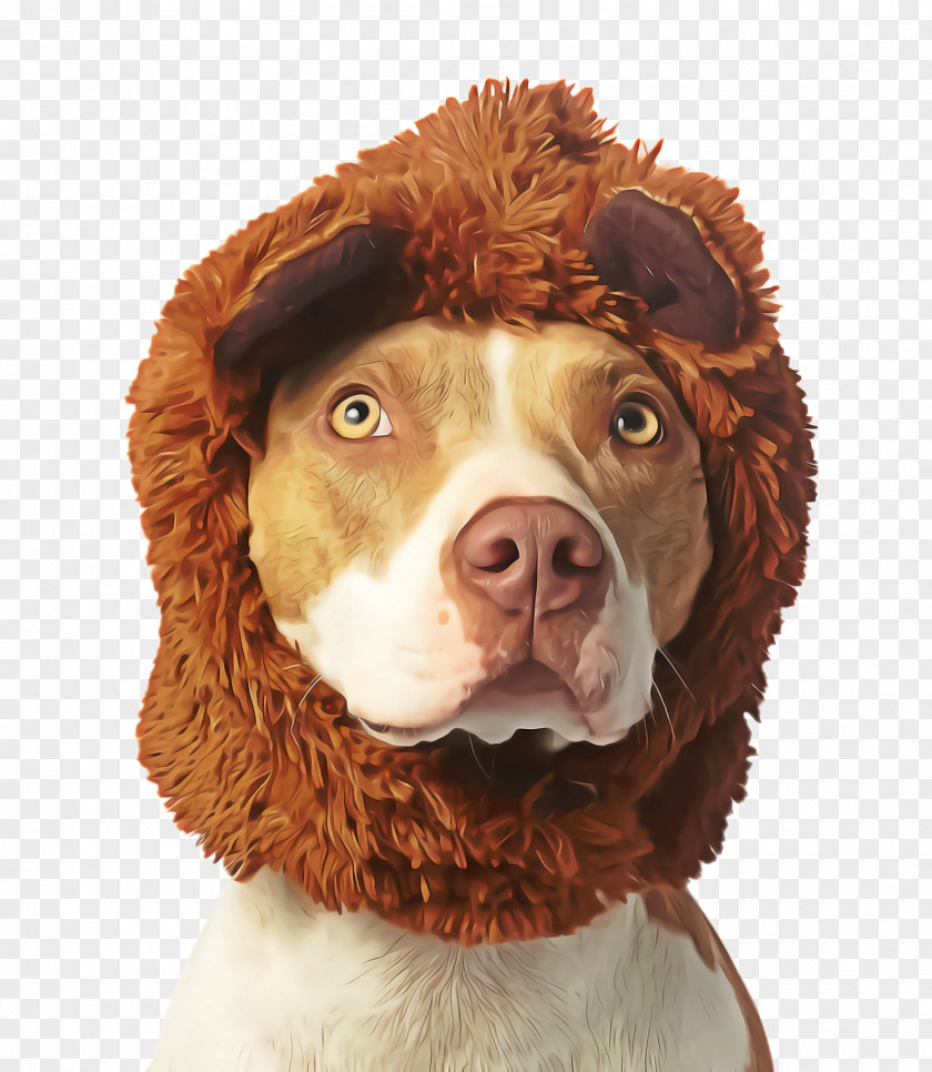 Costume Rare Breed Dog Halloween Cute Background PNG