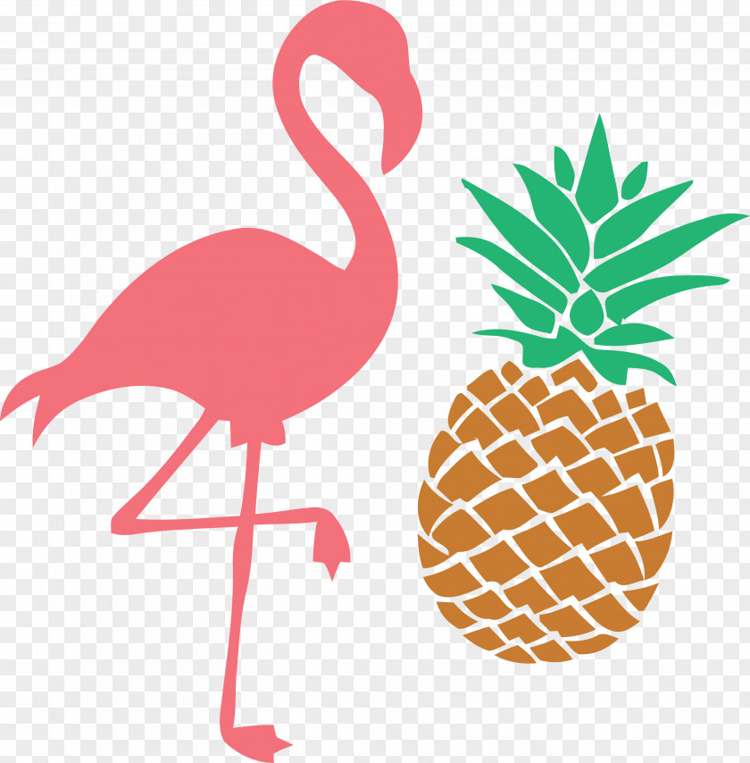 Flightless Bird Fruit Flamingo PNG