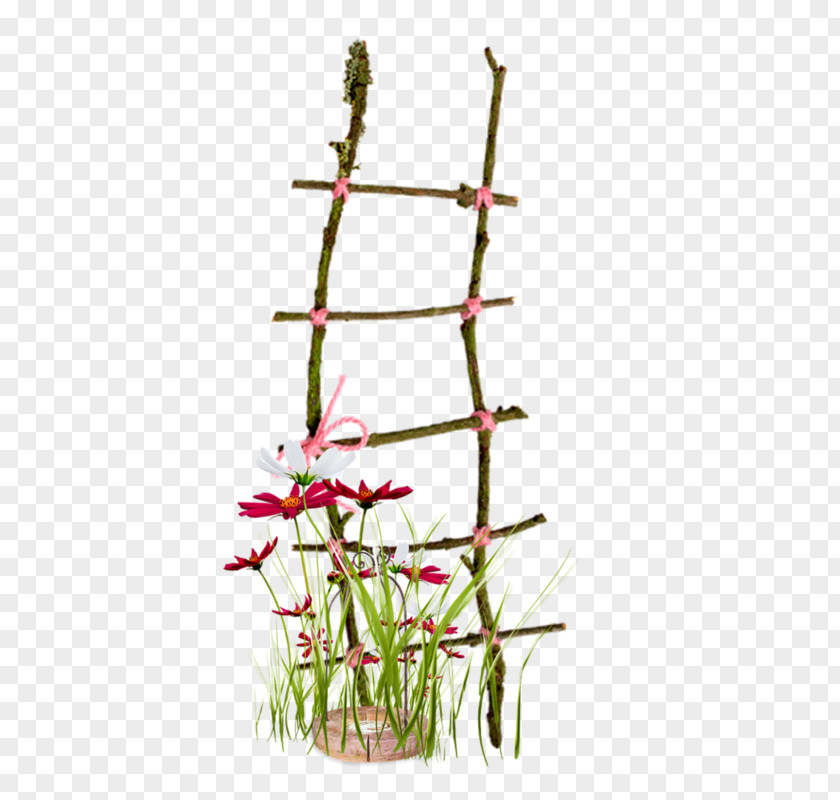 Ladder Computer Graphics Clip Art PNG