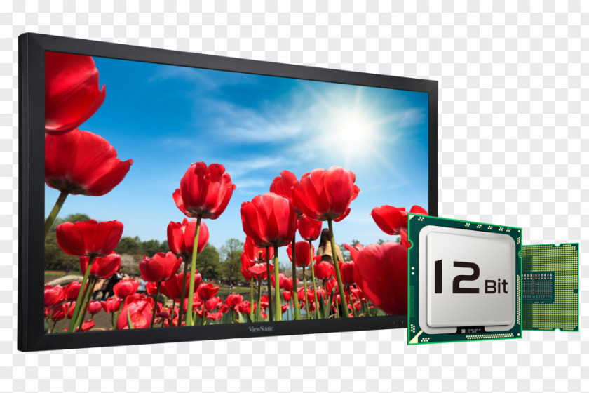 Lg LG Television Set 1080p High-definition LED-backlit LCD PNG