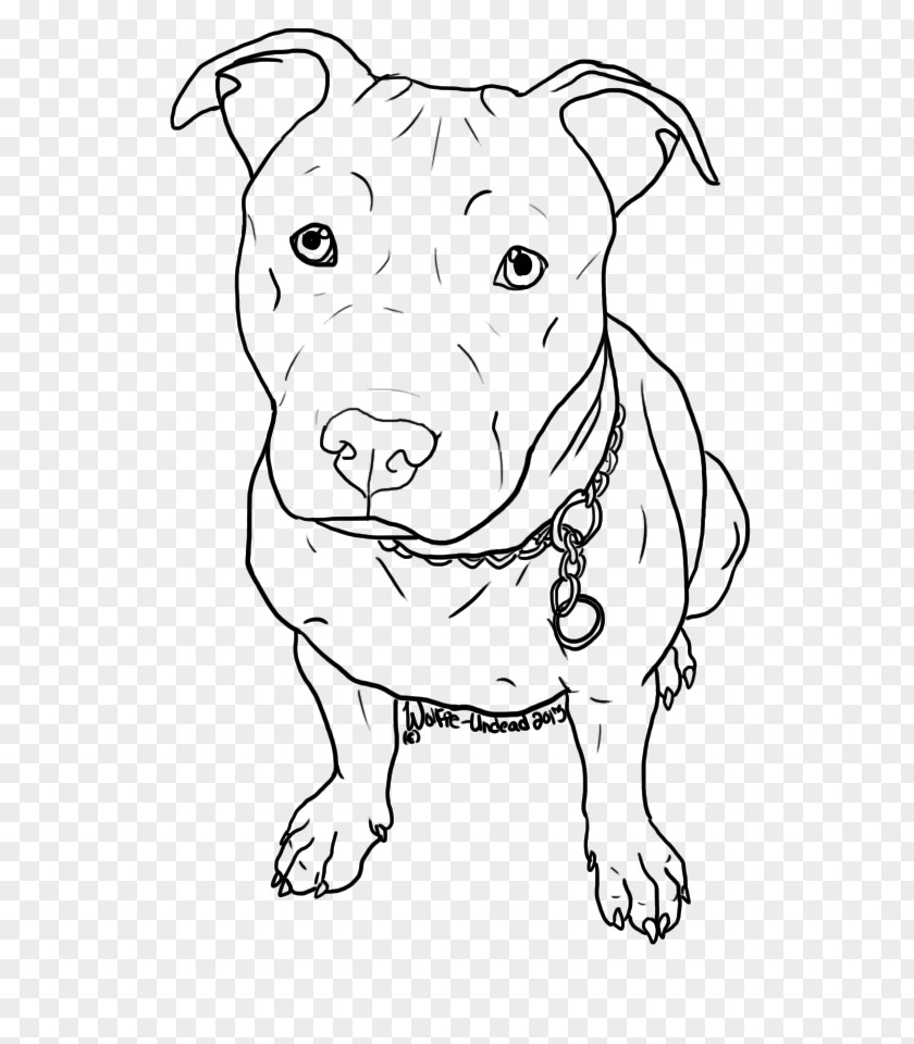 Pitbull American Pit Bull Terrier Puppy Drawing PNG