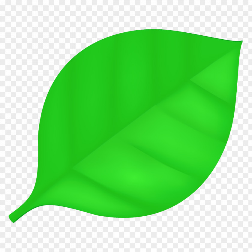 Plant Flag Green Leaf PNG