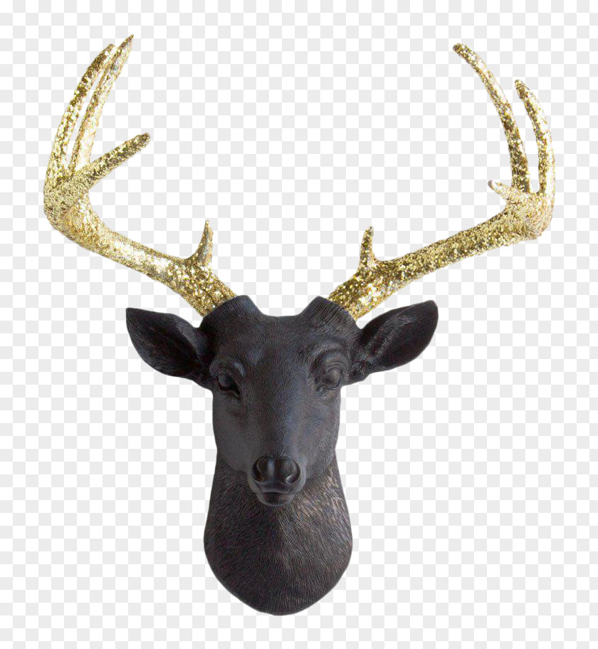 Reindeer White-tailed Deer Moose Antler PNG