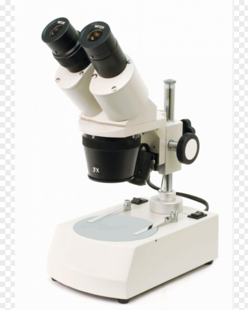 Stereo Microscope Magnification Optics Zoological Specimen PNG