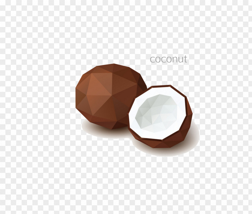 Coconut Polygon Auglis Illustration PNG